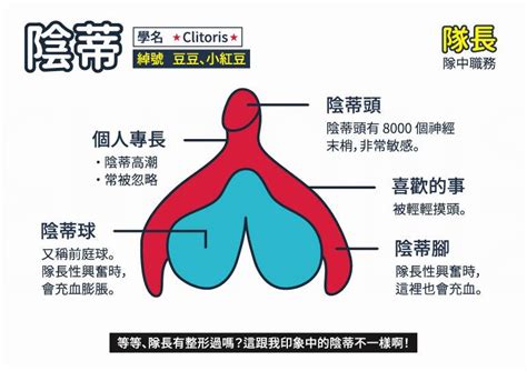 女性私密處構造|【圖輯】陰道、子宮、卵巢！12 張圖搞懂女性內生殖。